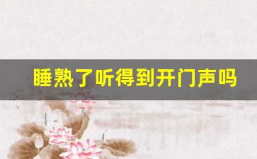 睡熟了听得到开门声吗_人睡着了开门声会吵醒吗