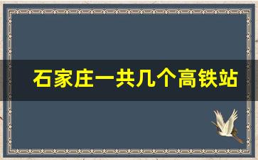 石家庄一共几个高铁站_石家庄东站能坐高铁吗