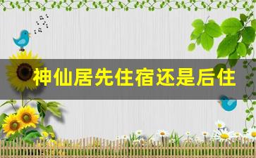 神仙居先住宿还是后住宿_神仙居附近住宿贵吗