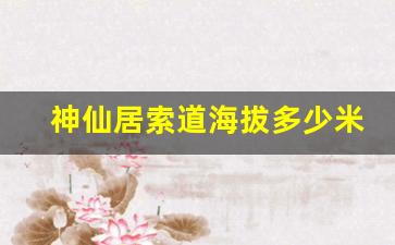 神仙居索道海拔多少米_神仙居爬山多少米