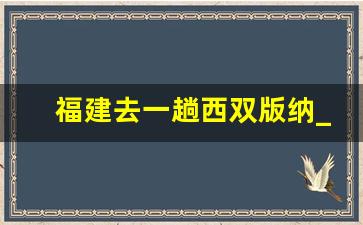 福建去一趟西双版纳_福州到西双版纳飞机