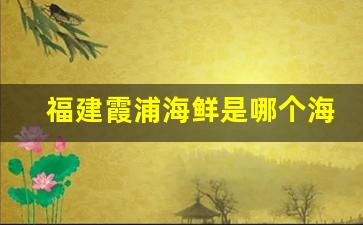 福建霞浦海鲜是哪个海_福建霞浦海鲜批发价格