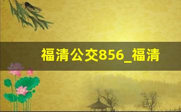 福清公交856_福清公交853路