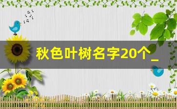 秋色叶树名字20个_秋天树叶颜色大全