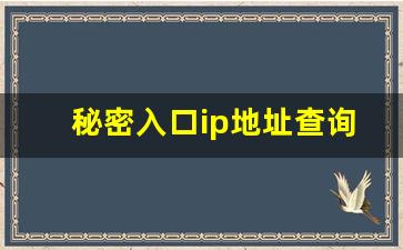 秘密入口ip地址查询