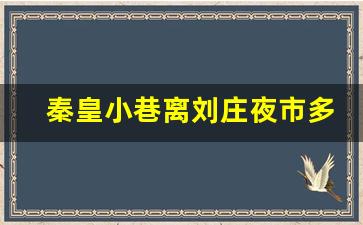 秦皇小巷离刘庄夜市多远