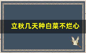 立秋几天种白菜不烂心_头伏萝卜二伏菜三伏种荞麦