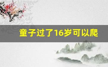 童子过了16岁可以爬泰山吗_泰山奶奶身边的童子特征