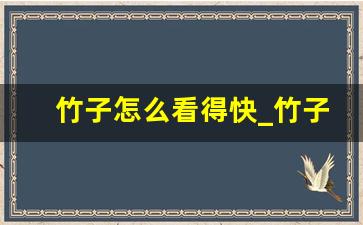 竹子怎么看得快_竹子会结果子吗