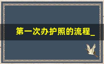 第一次办护照的流程_办一个护照要多少钱