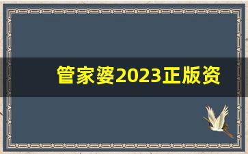 管家婆2023正版资料大全