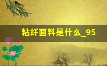 粘纤面料是什么_95粘纤5氨纶内裤能穿吗