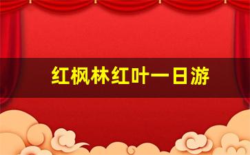 红枫林红叶一日游