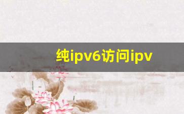 纯ipv6访问ipv4_ipv6如何访问ipv4网站