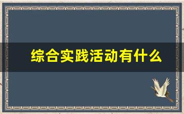 综合实践活动有什么