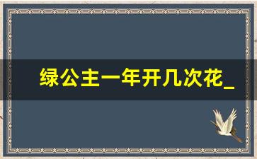 绿公主一年开几次花_金钻和绿公主的区别