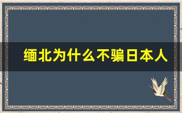 缅北为什么不骗日本人了