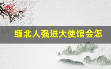 缅北人强进大使馆会怎么样_缅甸大使馆会遣送偷渡的人回国吗