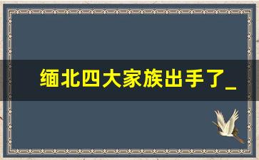 缅北四大家族出手了_缅北最大保护伞是哪个