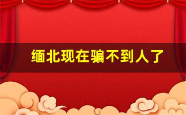 缅北现在骗不到人了