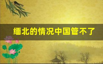 缅北的情况中国管不了吗_缅甸和缅北是一个政府吗