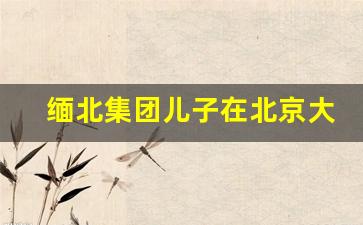 缅北集团儿子在北京大学_缅北打击进度最新消息