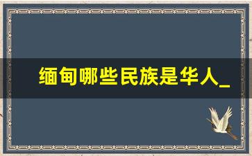 缅甸哪些民族是华人_缅甸华人控制区