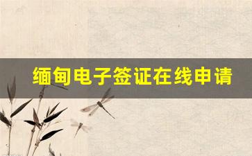 缅甸电子签证在线申请_中国人缅甸入境最新规定