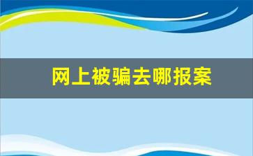 网上被骗去哪报案