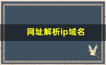 网址解析ip域名