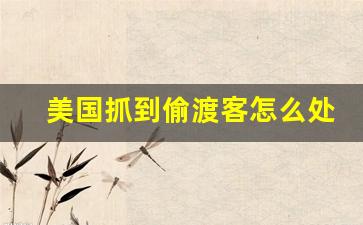 美国抓到偷渡客怎么处理_2023偷渡美国被抓最新消息