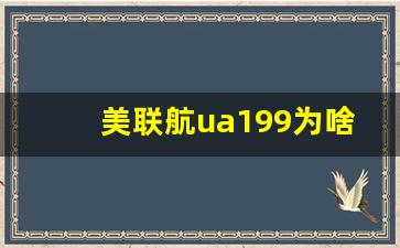 美联航ua199为啥没有餐食_美国联合航空提供餐食吗