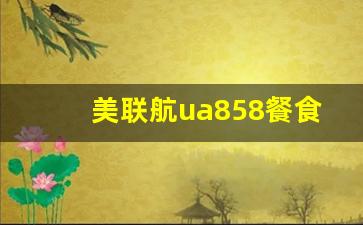 美联航ua858餐食_美联航ua199为啥没有餐食