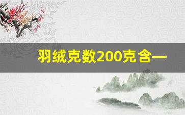 羽绒克数200克含—250克