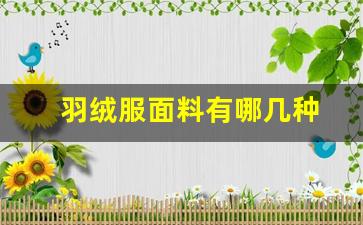 羽绒服面料有哪几种