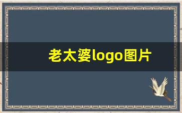 老太婆logo图片