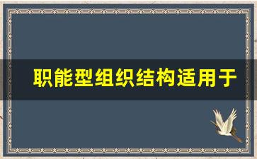 职能型组织结构适用于_什么是职能式组织结构