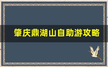 肇庆鼎湖山自助游攻略