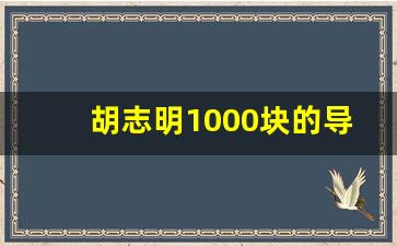 胡志明1000块的导游是真的吗_云南一对一私人导游