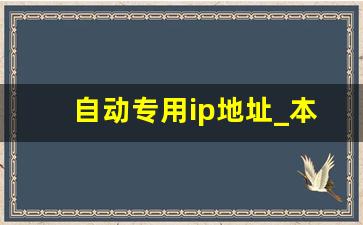 自动专用ip地址_本地连接没有有效的ip配置