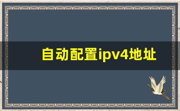 自动配置ipv4地址169.254解决_网络连接为会出现2个IPv4地址