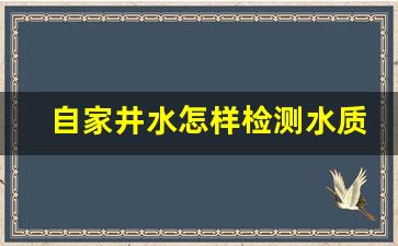 自家井水怎样检测水质_化验水质去哪个部门