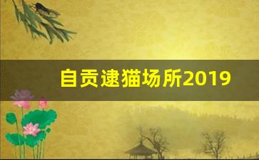 自贡逮猫场所2019微信