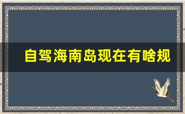 自驾海南岛现在有啥规定