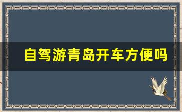 自驾游青岛开车方便吗_自驾去青岛停车问题