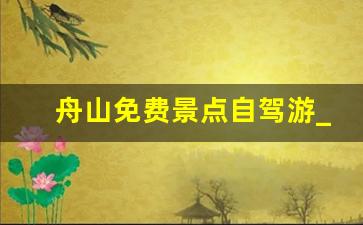 舟山免费景点自驾游_舟山哪些岛可以开车去