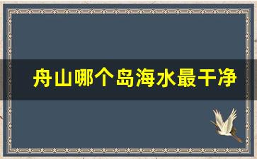 舟山哪个岛海水最干净