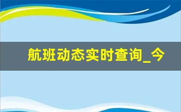 航班动态实时查询_今日航班信息查询