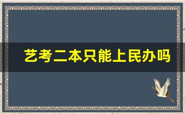 艺考二本只能上民办吗