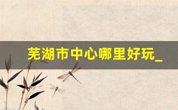 芜湖市中心哪里好玩_芜湖市镜湖区市民服务中心